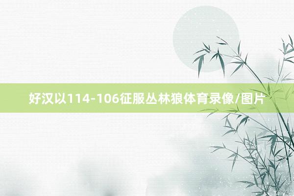 好汉以114-106征服丛林狼体育录像/图片